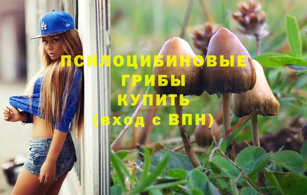 мет Горняк