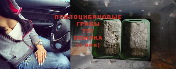 МДПВ Горнозаводск