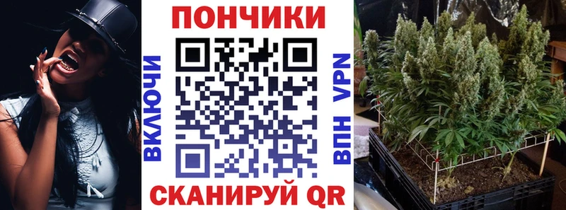 как найти   Димитровград  Шишки марихуана MAZAR 